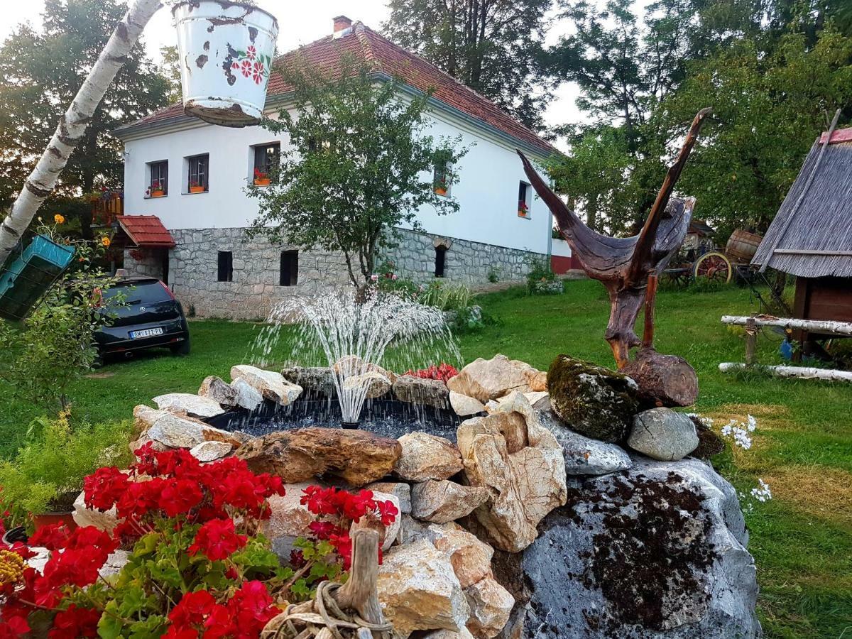 ホテル Etno Domacinstvo Saponjic Nova Varoš エクステリア 写真